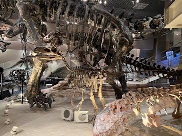 国立科学博物館に投稿された画像（2022/2/22）