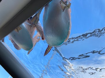 サンシャイン水族館に投稿された画像（2022/2/22）