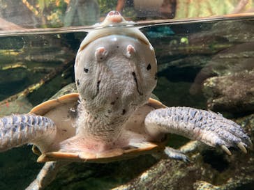 サンシャイン水族館に投稿された画像（2022/2/22）