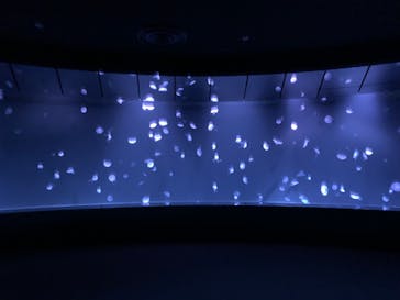 サンシャイン水族館に投稿された画像（2022/2/22）