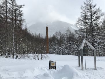 白樺高原国際スキー場に投稿された画像（2022/2/22）