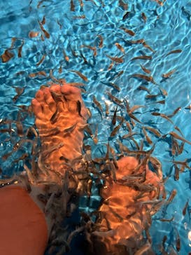 空庭温泉 OSAKA BAY TOWER（オオサカベイタワー）に投稿された画像（2022/2/22）