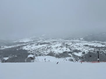 白馬八方尾根スキー場に投稿された画像（2022/2/22）