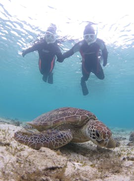 アマミエンシスに投稿された画像（2022/2/22）