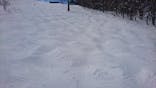 白馬八方尾根スキー場に投稿された画像（2022/2/22）