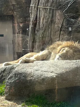 天王寺動物園に投稿された画像（2022/2/22）