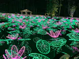 美らヤシパークオキナワ・東南植物楽園に投稿された画像（2022/2/22）