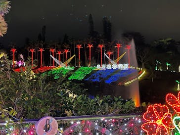 美らヤシパークオキナワ・東南植物楽園に投稿された画像（2022/2/22）