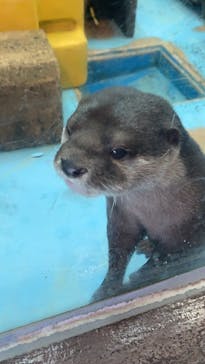 南知多ビーチランド＆南知多おもちゃ王国に投稿された画像（2022/2/22）