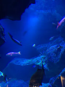 すみだ水族館に投稿された画像（2022/2/22）