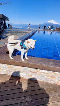 伊豆パノラマパークに投稿された画像（2022/2/23）