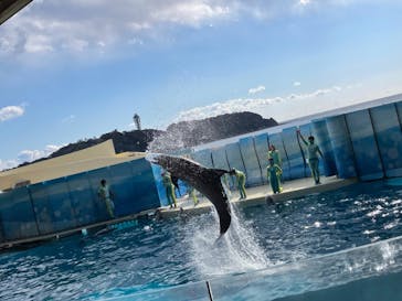 新江ノ島水族館に投稿された画像（2022/2/23）
