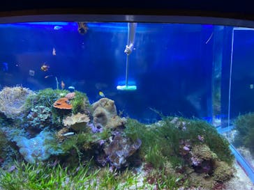 名古屋港水族館に投稿された画像（2022/2/23）