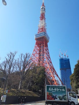 東京タワーに投稿された画像（2022/2/23）