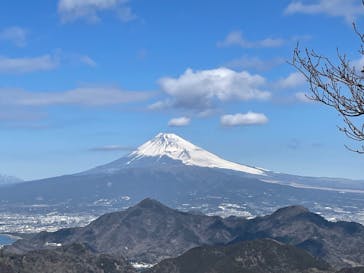 伊豆パノラマパークに投稿された画像（2022/2/23）