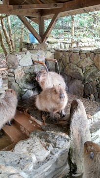 長崎バイオパークに投稿された画像（2022/2/23）