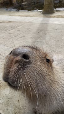 長崎バイオパークに投稿された画像（2022/2/23）