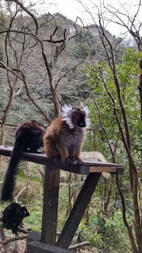 長崎バイオパークに投稿された画像（2022/2/23）