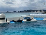 鴨川シーワールドに投稿された画像（2022/2/23）