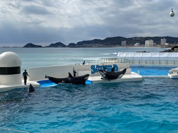 鴨川シーワールドに投稿された画像（2022/2/23）