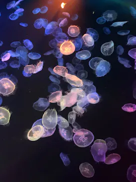 すみだ水族館に投稿された画像（2022/2/23）