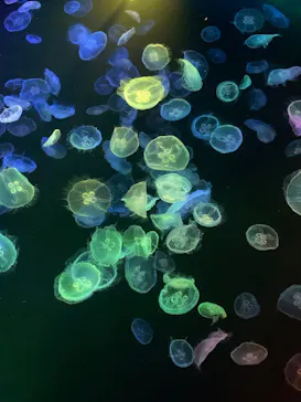 すみだ水族館に投稿された画像（2022/2/23）