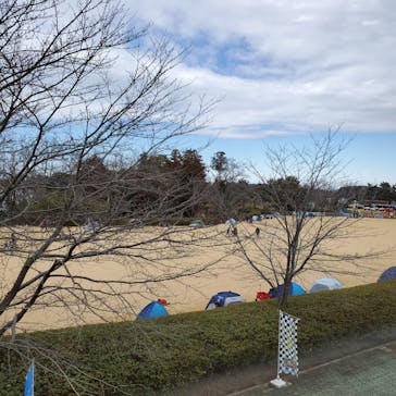 千葉こどもの国 キッズダムに投稿された画像（2022/2/23）