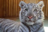 しろとり動物園に投稿された画像（2022/2/23）