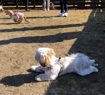 わんダフルネイチャーヴィレッジに投稿された画像（2022/2/23）