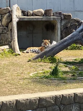 天王寺動物園に投稿された画像（2022/2/23）
