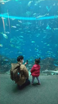 鴨川シーワールドに投稿された画像（2022/2/23）