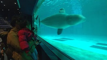 鴨川シーワールドに投稿された画像（2022/2/23）