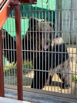 東武動物公園に投稿された画像（2022/2/23）