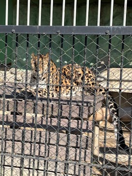 東武動物公園に投稿された画像（2022/2/23）