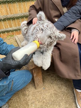 しろとり動物園に投稿された画像（2022/2/23）