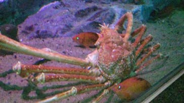 名古屋港水族館に投稿された画像（2022/2/23）