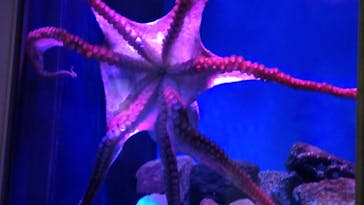 名古屋港水族館に投稿された画像（2022/2/23）