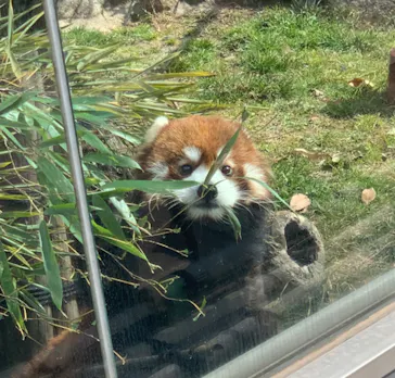 天王寺動物園に投稿された画像（2022/2/23）