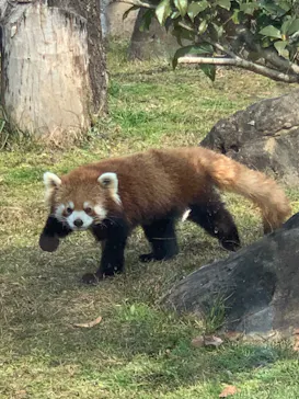 天王寺動物園に投稿された画像（2022/2/23）