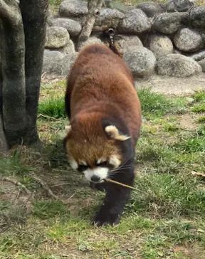 天王寺動物園に投稿された画像（2022/2/23）