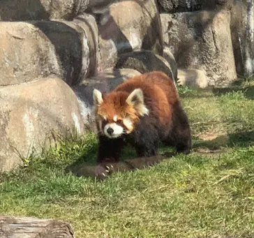 天王寺動物園に投稿された画像（2022/2/23）