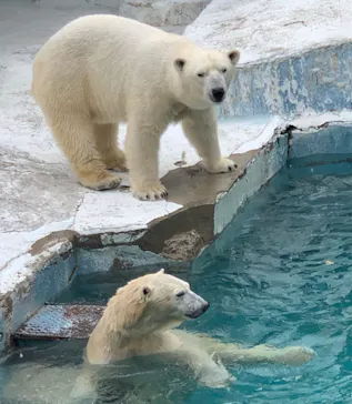 天王寺動物園に投稿された画像（2022/2/23）