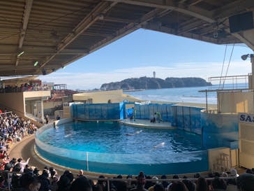 新江ノ島水族館に投稿された画像（2022/2/23）
