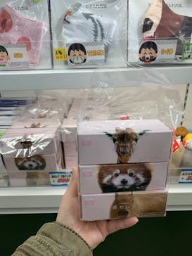 旭川市旭山動物園に投稿された画像（2022/2/23）