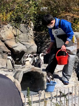 サンシャイン水族館に投稿された画像（2022/2/23）