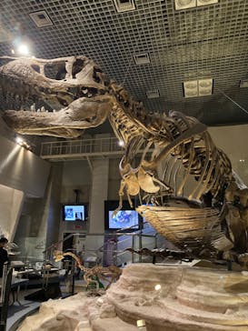 国立科学博物館に投稿された画像（2022/2/23）