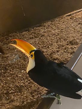 Moff animal world MARK IS みなとみらい店に投稿された画像（2022/2/23）