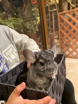 Moff animal world MARK IS みなとみらい店に投稿された画像（2022/2/23）