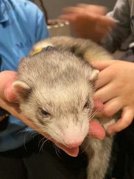 Moff animal world MARK IS みなとみらい店に投稿された画像（2022/2/23）