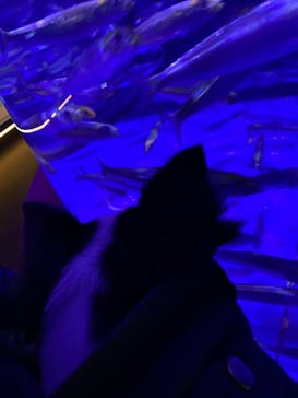 下田海中水族館に投稿された画像（2022/2/23）